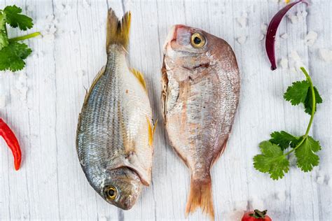 鲷鱼的功效与作用及禁忌_鲷鱼的营养价值及功效-美食百科-经验本