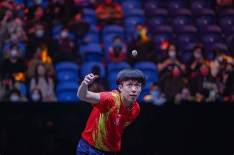 WTT世界杯决赛：王楚钦将与张本智和争夺男单冠军