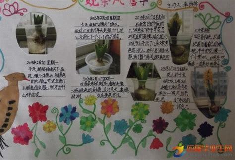 植物生长日记手抄报图片- 老师板报网