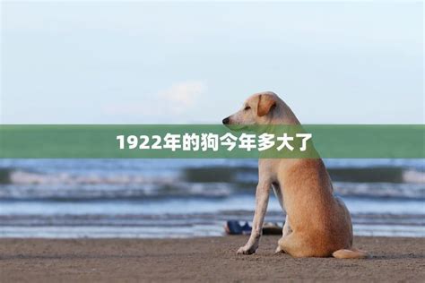 82年“狗朋友”的中晚年之命数，一切都是定数！