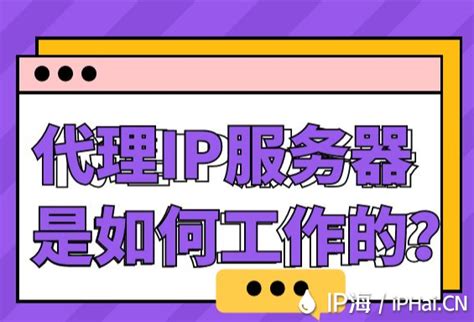 香港多IP服务器如何搭建高效稳定的网络环境?-纵横数据