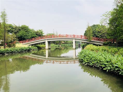 沙河湿地公园2021年上半年开建_文化快报_首都之窗_北京市人民政府门户网站