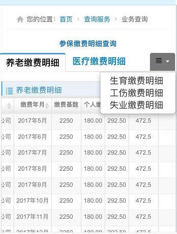 深圳社保查询个人账户缴费明细-深圳办事易-深圳本地宝