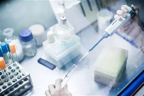 DNA pull down实验_分子生物学实验实验外包-安诺伦（北京）生物科技有限公司