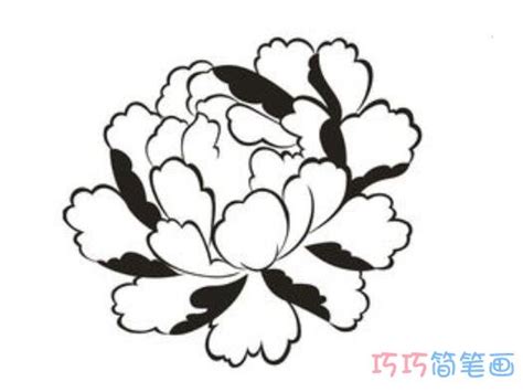 牡丹花的画法 - 学院 - 摸鱼网 - Σ(っ °Д °;)っ 让世界更萌~ mooyuu.com