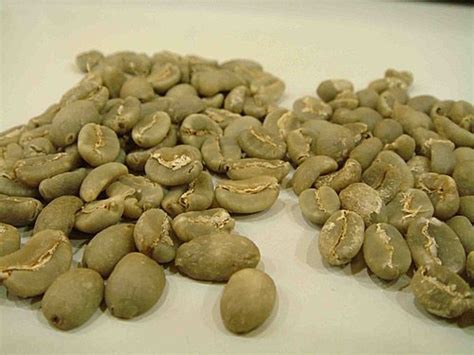 PWN黄金曼特宁与林东曼特宁咖啡豆品种手冲风味口感区别 中国咖啡网