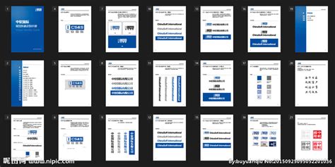 中软国际_word文档在线阅读与下载_免费文档