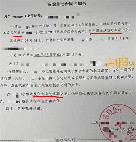 上海女子因准点下班试用3天被辞退，能拿到“2N”吗？ - 劳动法老曾