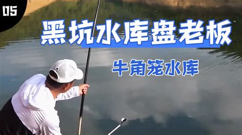 邓刚钓鱼 牛角笼水库盘老板，收获两护鱼 [视频]
