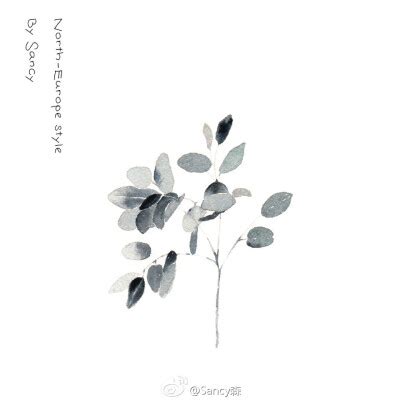 Sancy'Plants图片