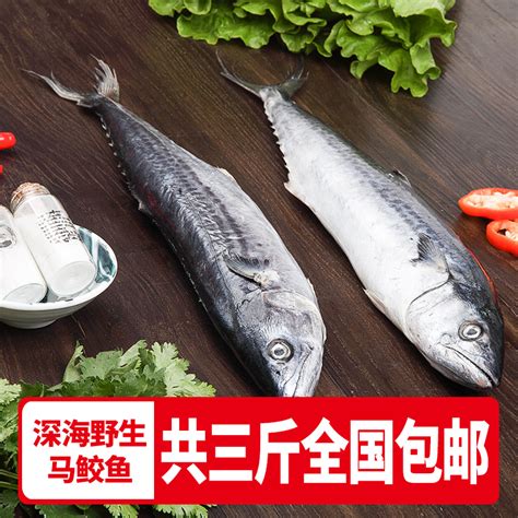 鳜鱼是一种肉食性鱼类，为何被称为“贵族鱼”，到底“贵”在哪？|鳜鱼|肉食性|鱼_新浪新闻