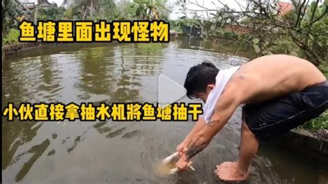昨天在水坑里逮了一条鲫鱼，今天小伙把水坑抽干，这收获太喜人了_凤凰网视频_凤凰网