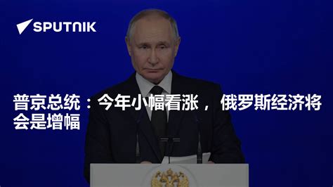 普京总统：今年小幅看涨， 俄罗斯经济将会是增幅 - 2023年2月10日, 俄罗斯卫星通讯社