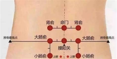 膝眼的准确位置图图片 膝眼的准确位置图图片