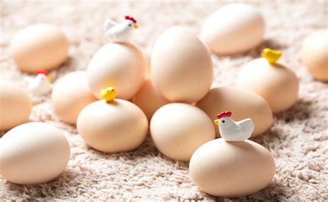 鸡蛋期货保证金怎么算 鸡蛋期货做一手要多少钱-中信建投期货上海