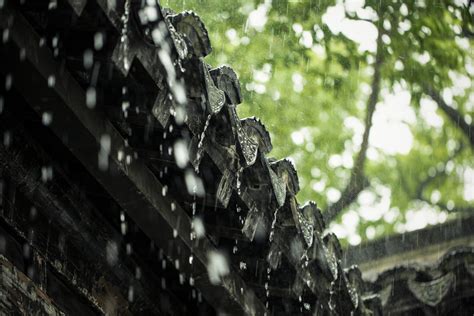 “梅雨”,上海的“第五季节” - 知乎