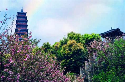 大渡口再添一座社区公园 重庆风景园林网 重庆市风景园林学会
