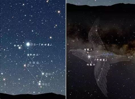 牛郎星与织女星什么时候观察得到？用肉眼看得到吗？_百度知道