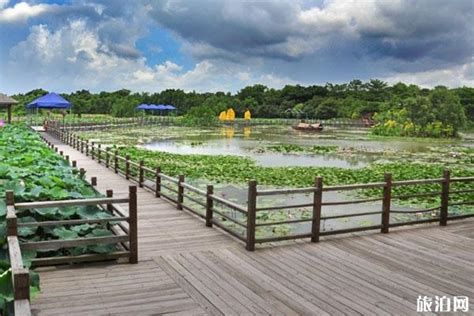 红莲湖国家湿地公园_国家旅游地理_探索自然 传播人文 愉悦身心