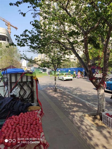 青岛市李沧区分区规划实施评估 - 深圳市蕾奥规划设计咨询股份有限公司