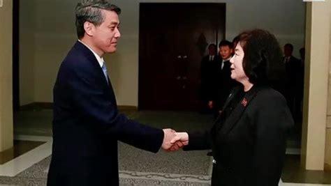 中国新任驻朝大使拜会朝鲜外务相_凤凰网视频_凤凰网