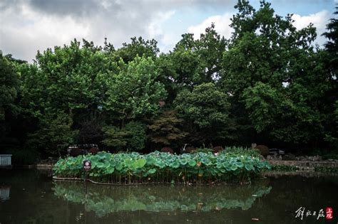 真实记录百年复兴公园的日与夜 实在有故事——上海热线