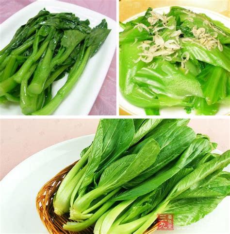 什么青菜,青菜的种类,哪些蔬菜属于青菜类_大山谷图库