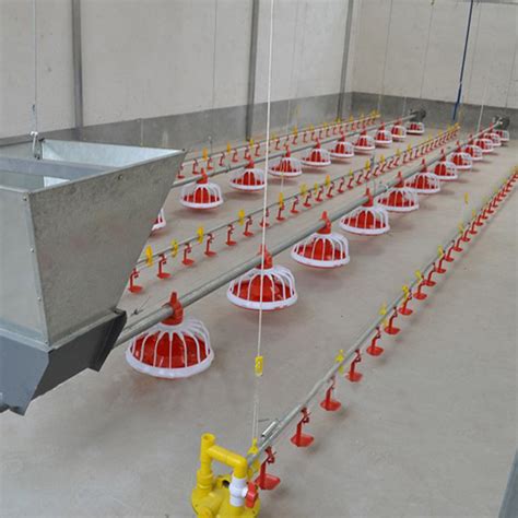 鸡舍水线自动平养肉鸡养殖水线设备平养鸡自动化供水鸡鸭用饮水线-阿里巴巴