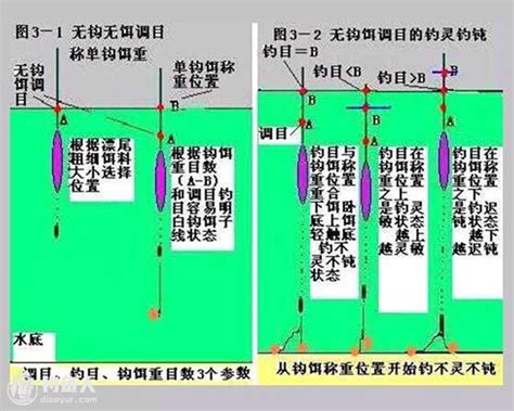 关于钓乌头（鲻鱼）的若干细节。 - 钓鱼之家