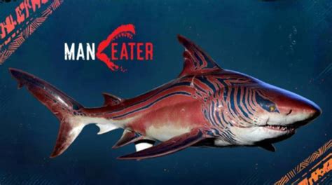 《食人鲨》PS4版通过更新添加中文字幕 PS4/5版追加特典 梦电游戏 nd15.com
