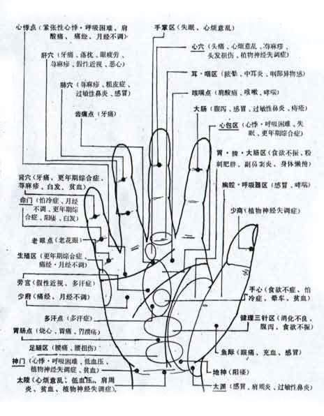 手部穴位图图片