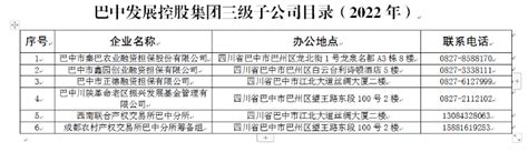 巴中发展控股集团三级子公司目录（2022年）_巴中市国有资产监督管理委员会