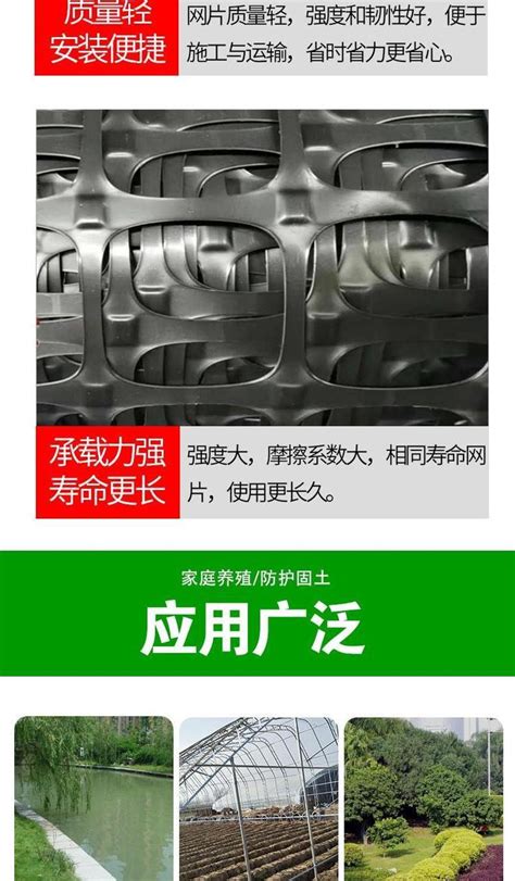 熊黛林脚踩围栏图片