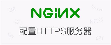 Nginx的安装以及访问_访问nginx-CSDN博客