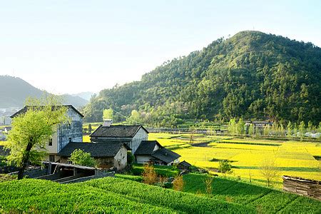 四川洪雅:贫困村变身生态美丽乡村