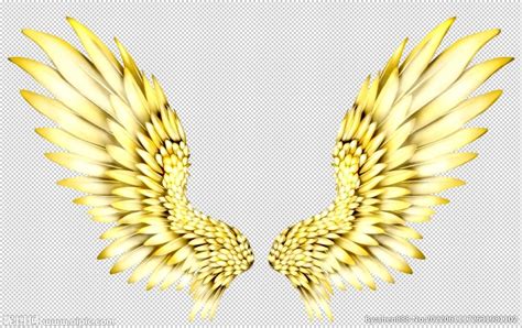 展开的金色翅膀设计图__广告设计_广告设计_设计图库_昵图网nipic.com