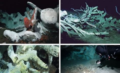 老照片：世界上最恐怖的10个海底墓