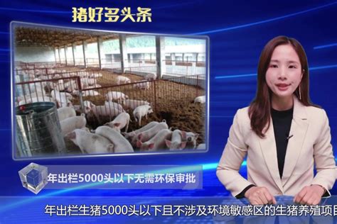 湖北省最新养猪政策：继续抓好新建扩建猪场项目建设和老旧猪场改造升级 - 猪好多网