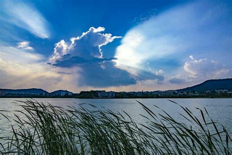 武汉后湖崛起大型生态圈 - 湖北日报新闻客户端
