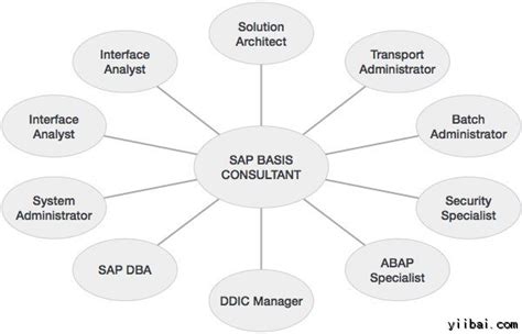 SAP基础 - SAP教程