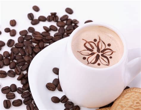 高效液相色谱-紫外双波长同时测定咖啡及咖啡制品中10种化合物含量