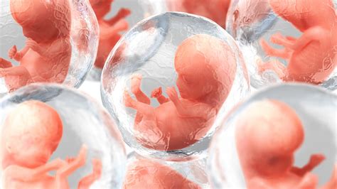 西安交大科研人员在《科学》发表文章 直视小鼠胚胎发育过程-西安交通大学国家技术转移中心