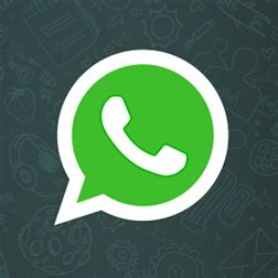 whatsapp安卓下载安装2024最新版-whatsapp最新版官网版2024v24.8.83 - 逗游网