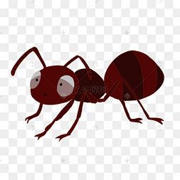 关于蚂蚁的图片,蚂蚁的图片和介绍,一群蚂蚁图片_大山谷图库