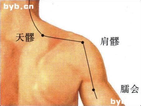 肩髃的准确位置图图片 肩髃的准确位置图图片