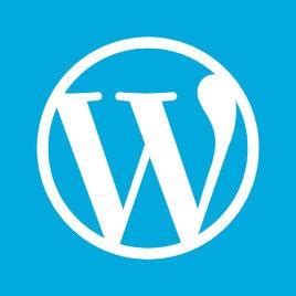 WordPress智能主题和定制主题的优缺点对比__财经头条