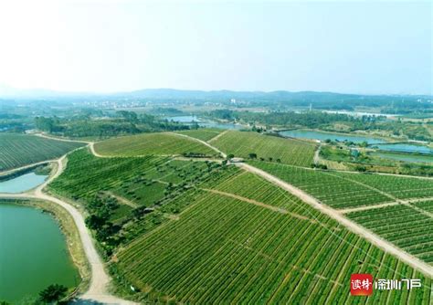 灯塔盆地城乡发展战略规划（2019-2035年） - 深圳市绿然展业发展有限公司