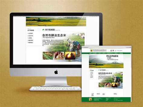 粮食米业网站首页效果图设计图__中文模板_ web界面设计_设计图库_昵图网nipic.com