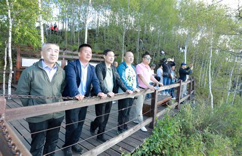 大兴安岭集团总工程师刘忠新深入阿木尔林业局检查指导营林生产