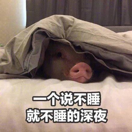休假搞笑图片